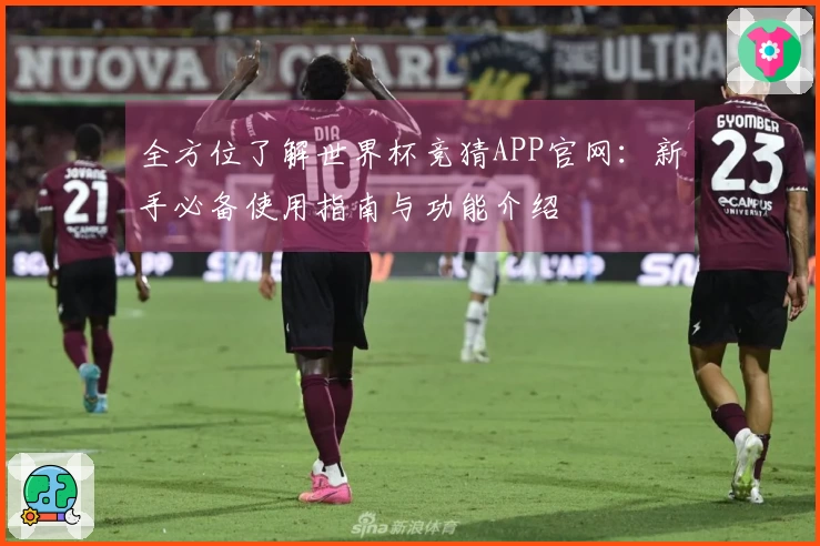 全方位了解世界杯竞猜APP官网：新手必备使用指南与功能介绍