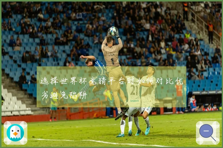选择世界杯竞猜平台时如何对比优劣避免陷阱
