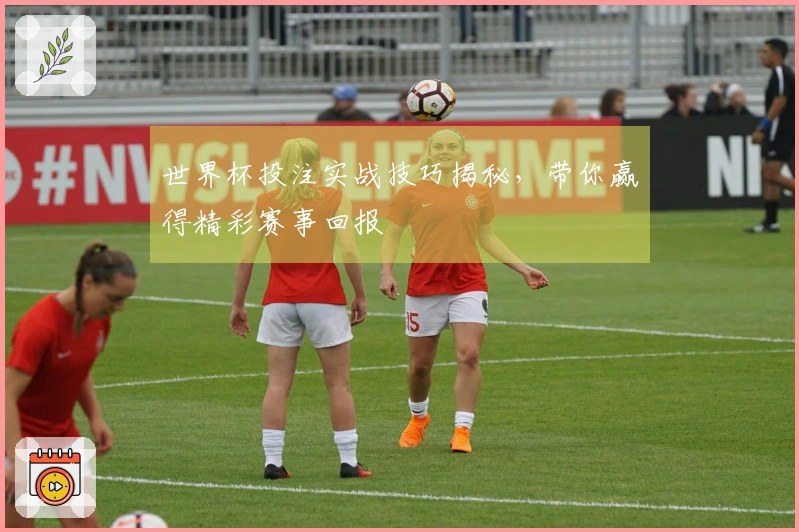 世界杯投注实战技巧揭秘，带你赢得精彩赛事回报