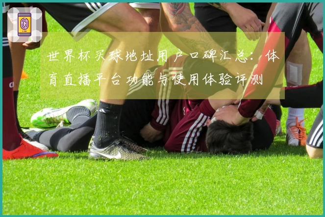 世界杯买球地址用户口碑汇总：体育直播平台功能与使用体验评测