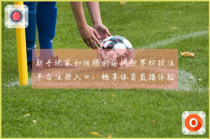 新手玩家如何顺利访问世界杯投注平台注册入口，畅享体育直播体验