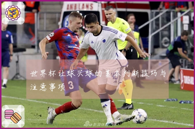 世界杯让球买球的基本判断技巧与注意事项