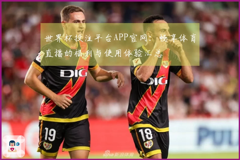 世界杯投注平台APP官网：畅享体育直播的福利与使用体验汇总