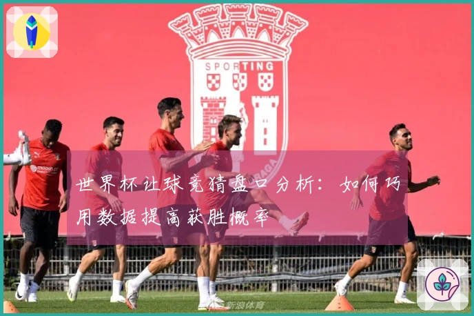 世界杯让球竞猜盘口分析：如何巧用数据提高获胜概率