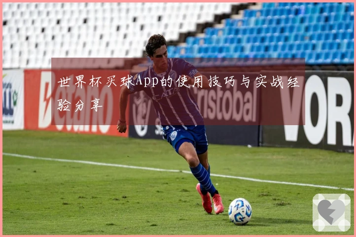世界杯买球App的使用技巧与实战经验分享