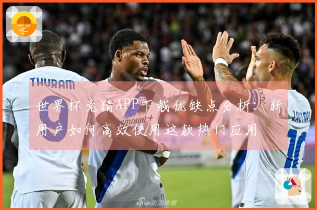 世界杯竞猜APP下载优缺点分析：新用户如何高效使用这款热门应用