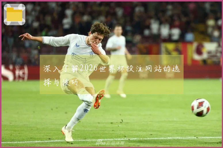 深入了解2026世界杯投注网站的选择与技巧